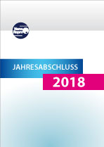 NanoRepro AG Jahresabschluss 2018