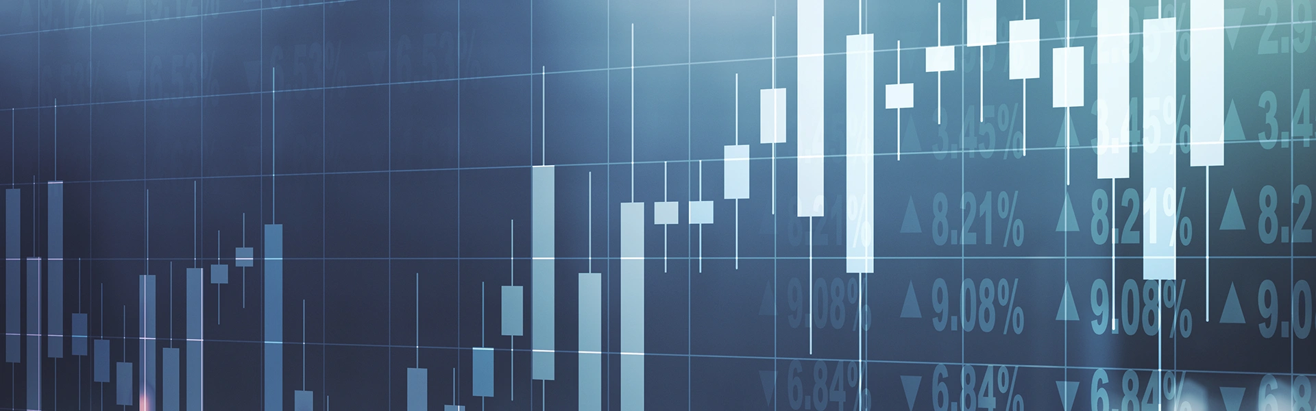 NanoRepro Finanzberichte