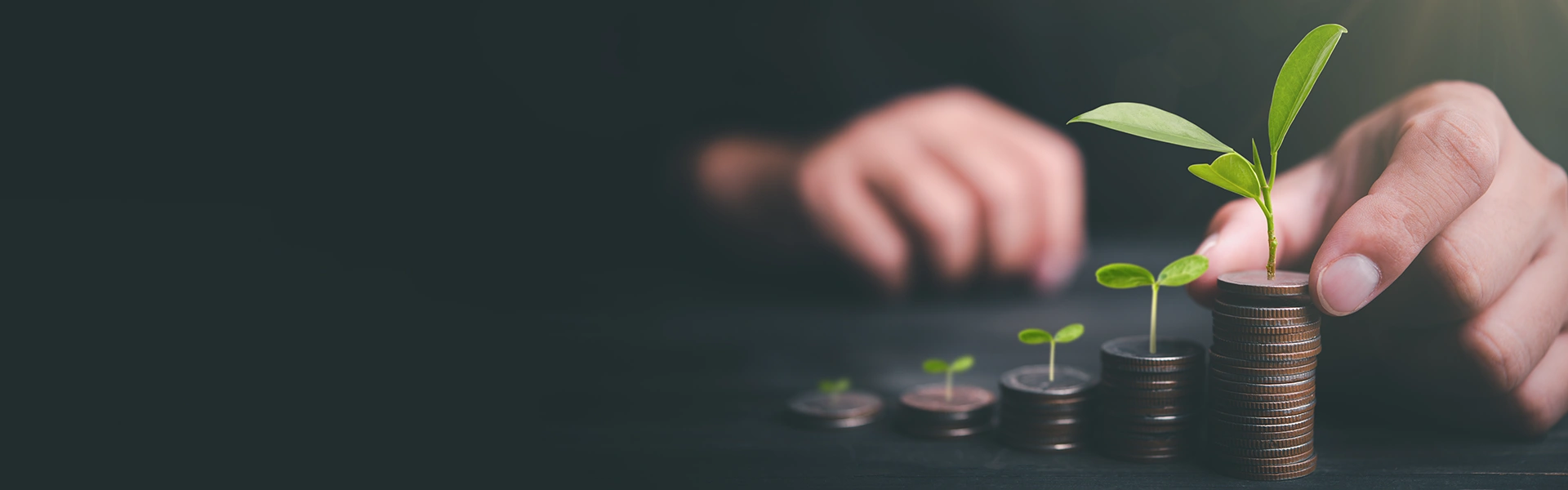 NanoRepro AG Why Invest?